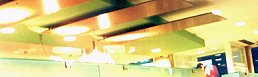McDonald`s Restaurant