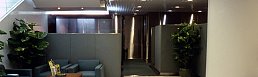 Banco Comercial de Macau - Headquarters Renovation